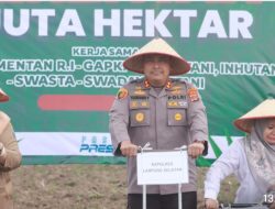 Penanaman Jagung 1 Juta Hektar Polres Lampung Selatan untuk Dukung Swasembada DI Way Urang Kalianda