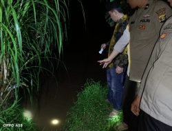 Waspada Serangan Buaya di Sungai Way Semaka, Polda Lampung Imbau Warga Lebih Hati-hati