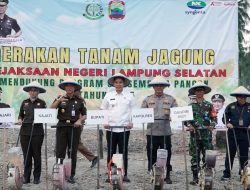 Aksi Nyata! Bupati Egi dan Kajati Tanam Jagung Bareng, Demi Ketahanan Pangan & Kesejahteraan Petani