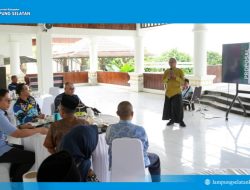 Srawung Seni Sawah Siap Mendunia! Bupati Egi Dorong Jadi Ikon Wisata Baru Lampung Selatan