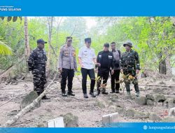 Kunjungi Pulau Sebuku, Bupati Egi Ungkap Rencana Pemindahan Makam Tentara Belanda