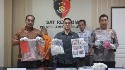 Polisi Tangkap Pelaku Pemerkosaan Anak di Kalianda, Satu Buron Masih Diburu