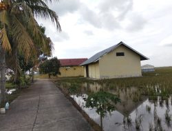 “Sandiwara” Pura pura Guna Pembenihan Diduga Sembilan Ton Padi Milik BBI Kecamatan Palas Dipertanyakan