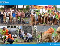 5.792 PPPK Paruh Waktu Lampung Selatan Tanam Pohon Serentak, Kampanye “Pohon Asuh” Gaungkan Gerakan Hijau dari Birokrasi
