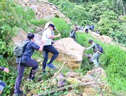Bupati Egi Naik 3 Km, Tanam Pohon Cegah Bencana Susulan Pasca Longsor Di Gunung Rajabasa